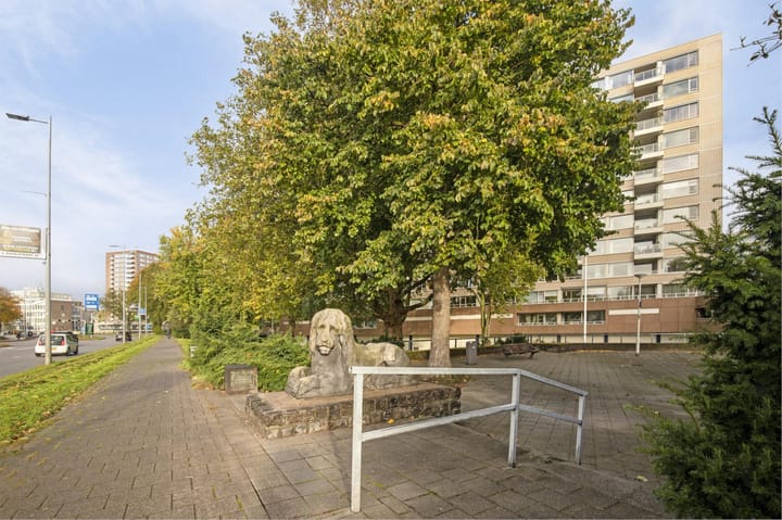 Foto 21 van 's-Lands werf 138