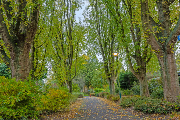 Bekijk foto 37 van Marelaan 26