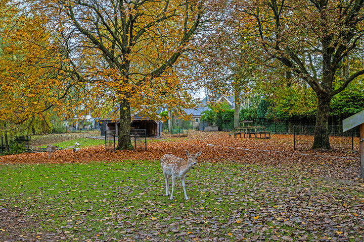 Bekijk foto 38 van Marelaan 26