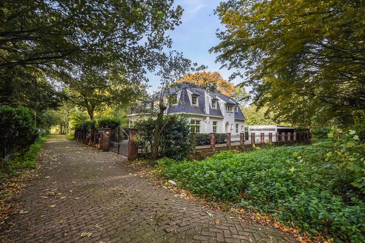 Foto 8 van Julialaantje 54