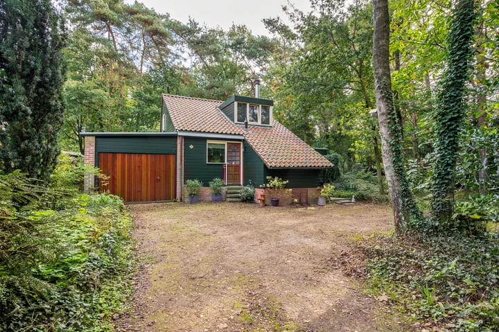 Foto 1 van Helderse Duinen 6