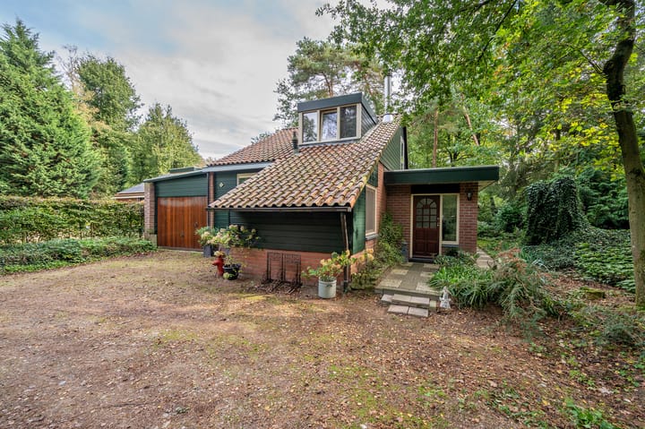 Foto 2 van Helderse Duinen 6