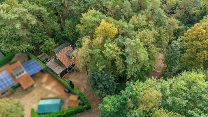 Foto 3 van Helderse Duinen 6