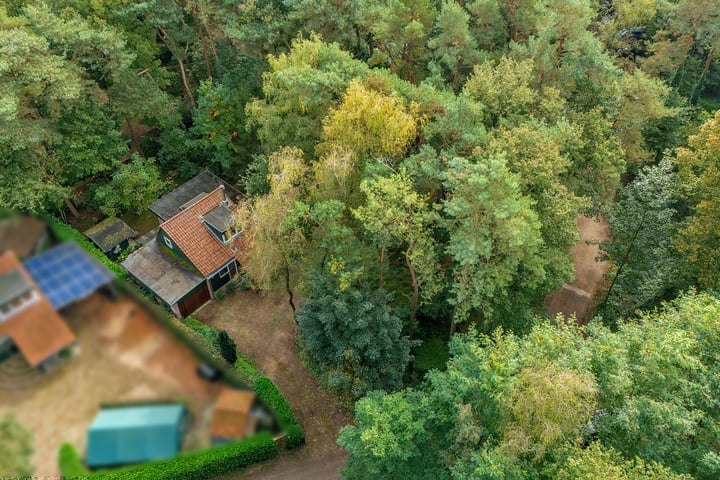 Bekijk foto 3 van Helderse Duinen 6