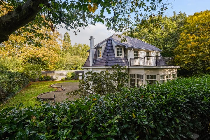 Foto 45 van Julialaantje 54