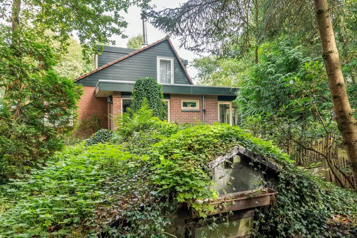 Foto 31 van Helderse Duinen 6