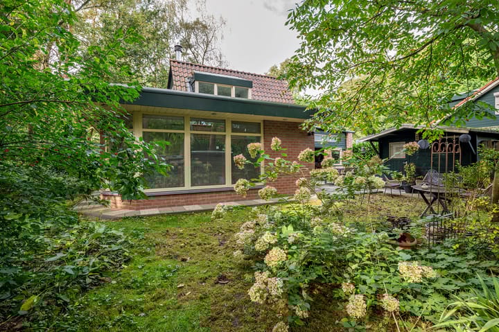 Foto 32 van Helderse Duinen 6