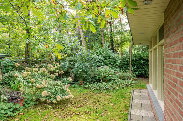 Foto 35 van Helderse Duinen 6