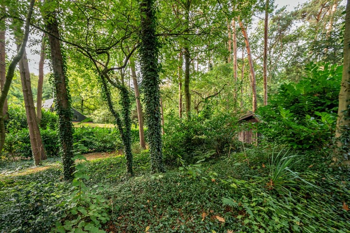 Foto 36 van Helderse Duinen 6