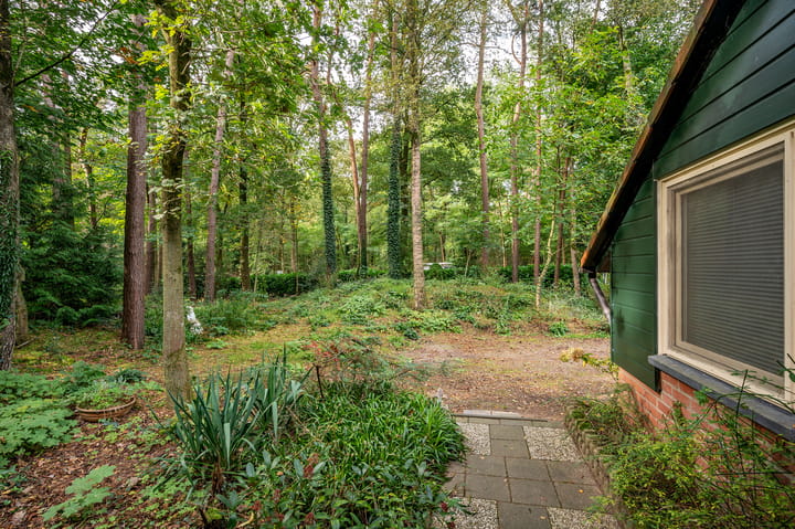 Foto 37 van Helderse Duinen 6