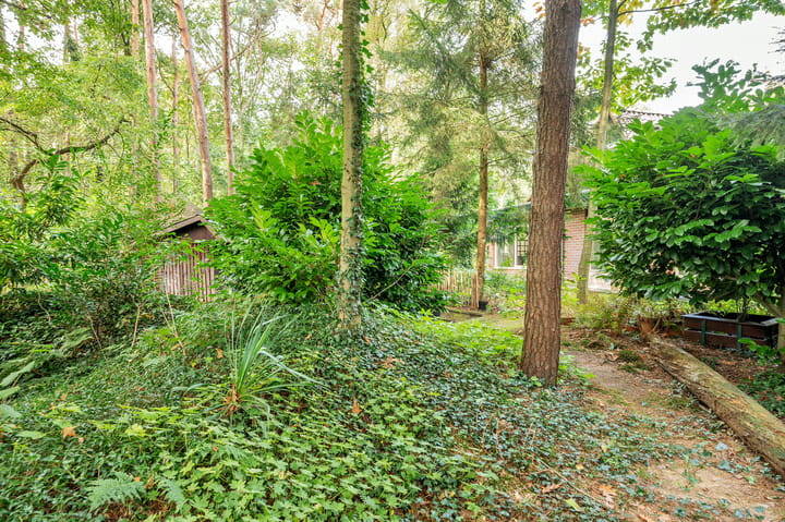 Foto 38 van Helderse Duinen 6