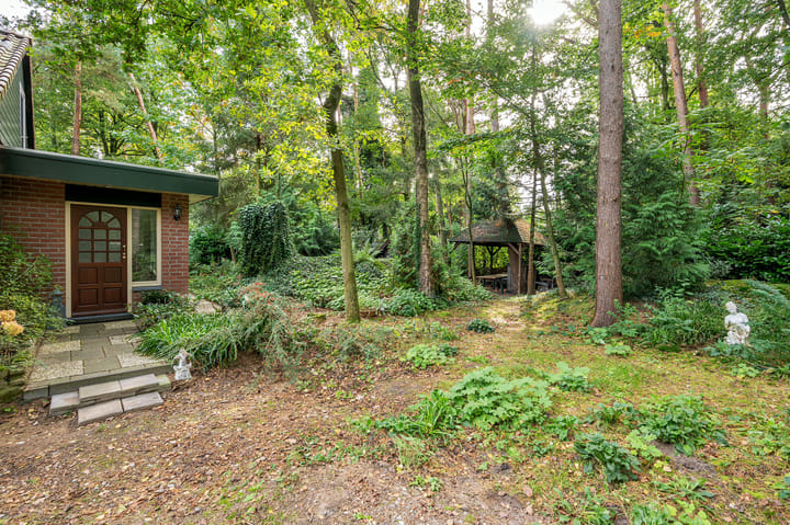 Foto 43 van Helderse Duinen 6