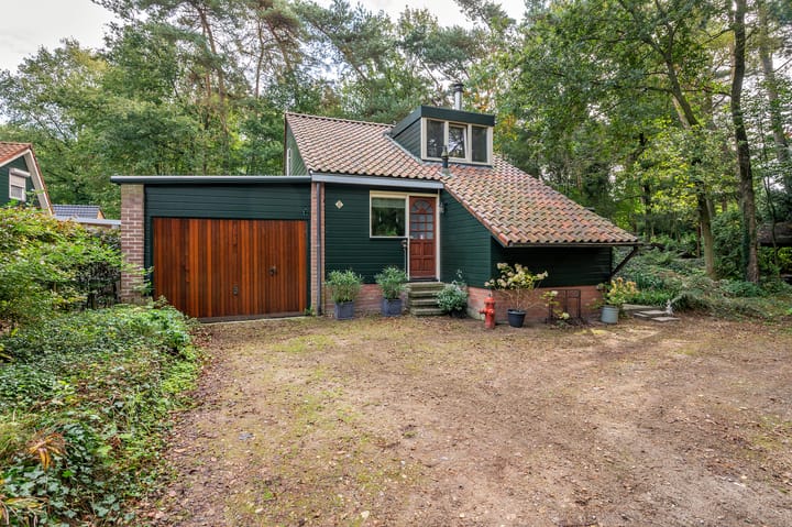 Foto 44 van Helderse Duinen 6