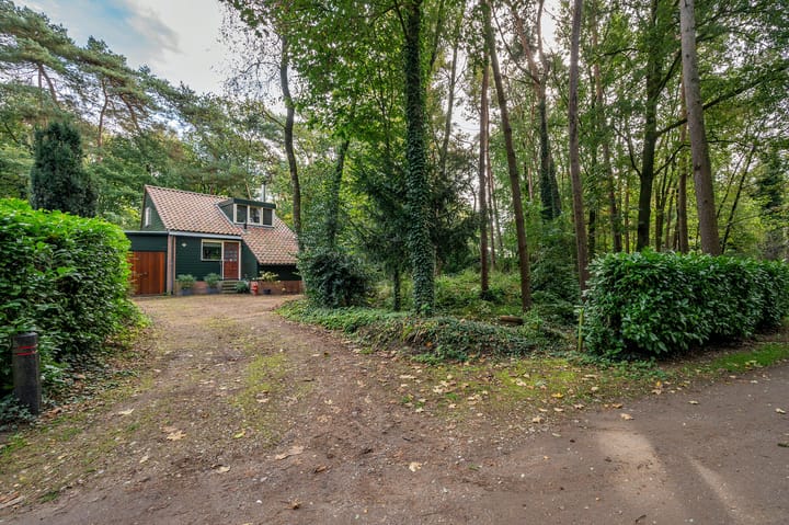 Foto 45 van Helderse Duinen 6