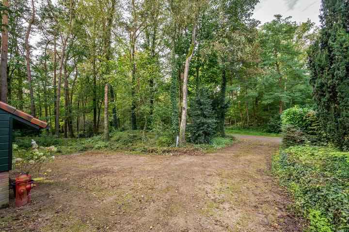 Foto 46 van Helderse Duinen 6