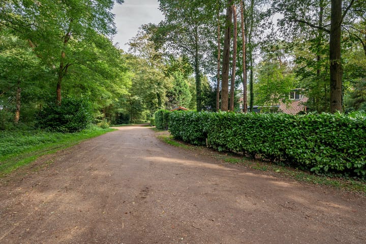 Foto 47 van Helderse Duinen 6