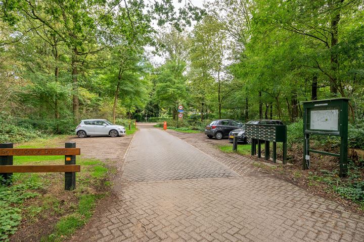 Bekijk foto 48 van Helderse Duinen 6