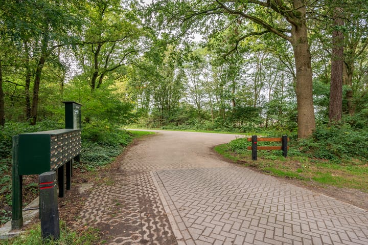 Foto 49 van Helderse Duinen 6