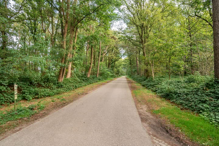 Foto 50 van Helderse Duinen 6