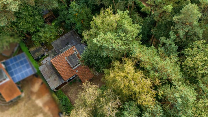 Foto 51 van Helderse Duinen 6