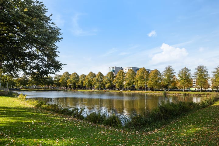 Foto 25 van Wanningstraat 235