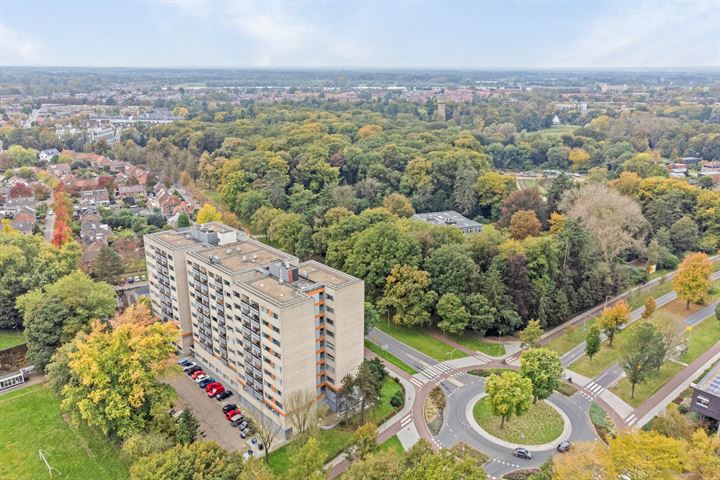 Bekijk foto van Laan van Borgele 40 F305