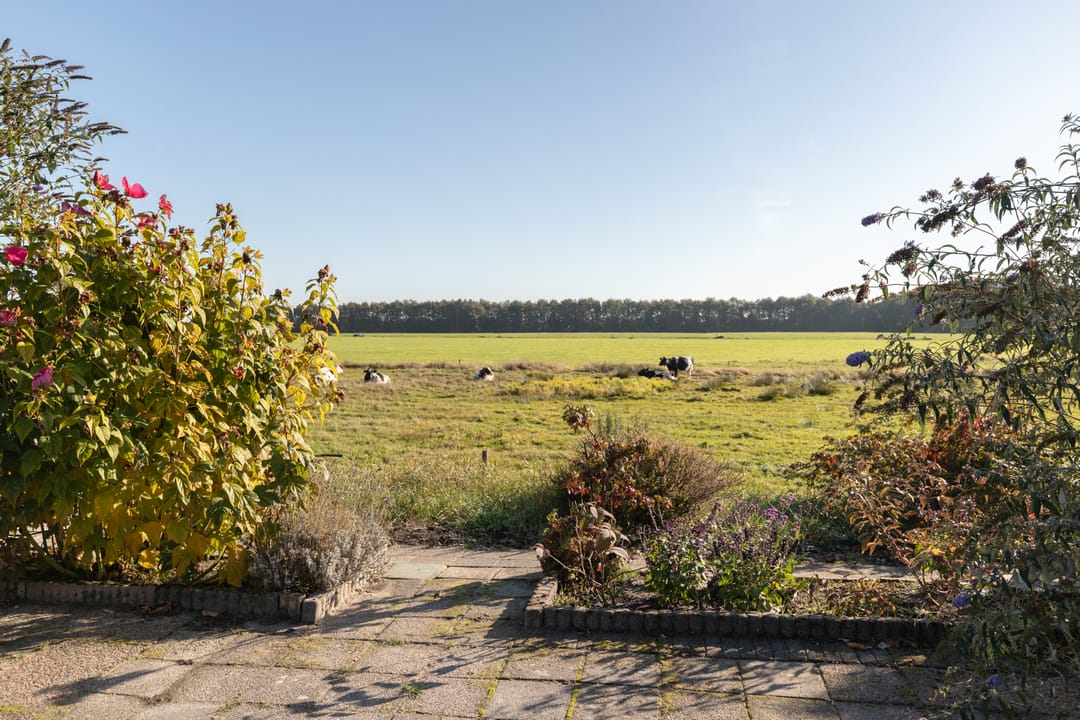 Foto 2 van Meester Zuidemastraat 55