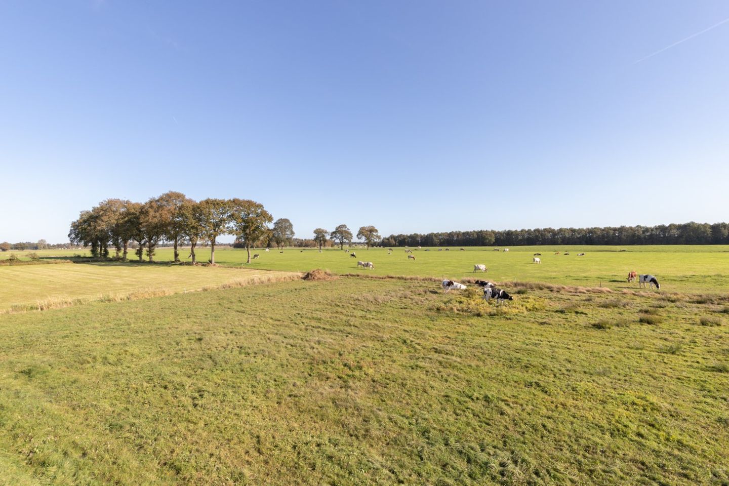 Foto 35 van Meester Zuidemastraat 55