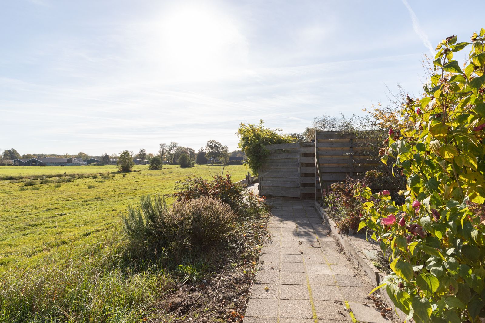 Foto 36 van Meester Zuidemastraat 55