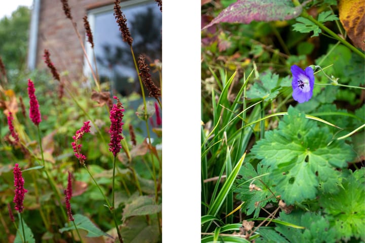 Foto 29 van Van Bergenlaan 4