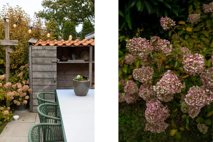 Foto 31 van Van Bergenlaan 4