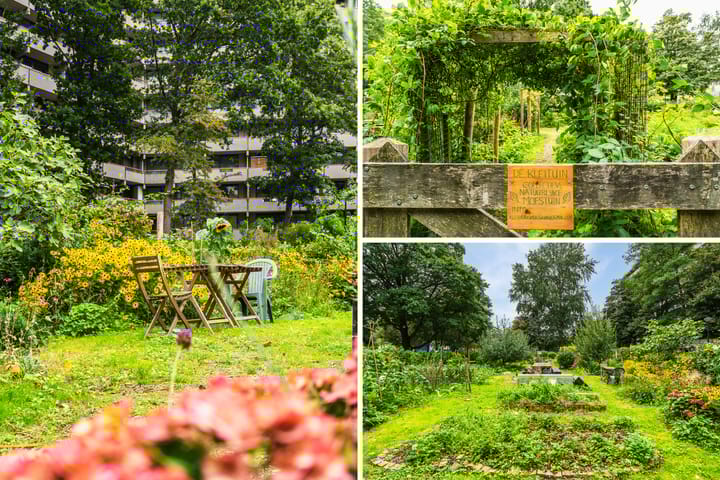 Foto 46 van Kleiburg 34