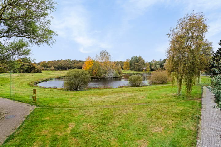 Foto 3 van Wolvenveen 127