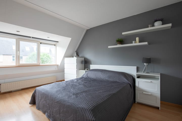 Foto 4 van Brandgans 28