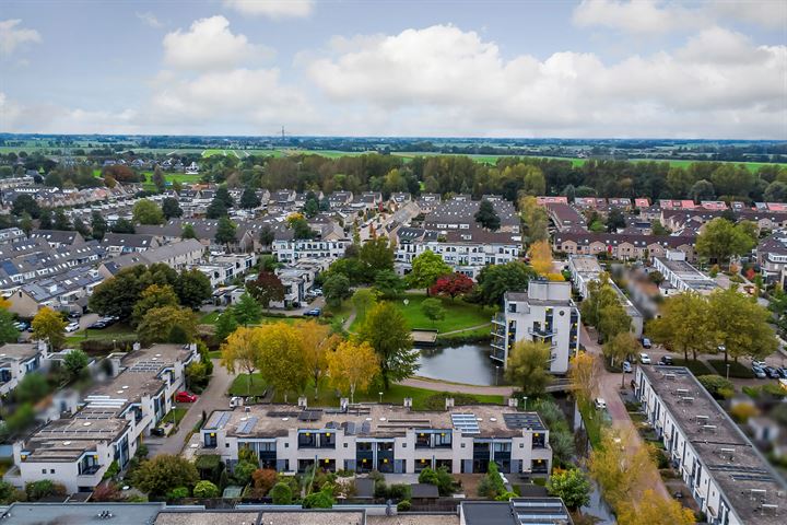 View photo 44 of Reeuwijkpolderplantsoen 5