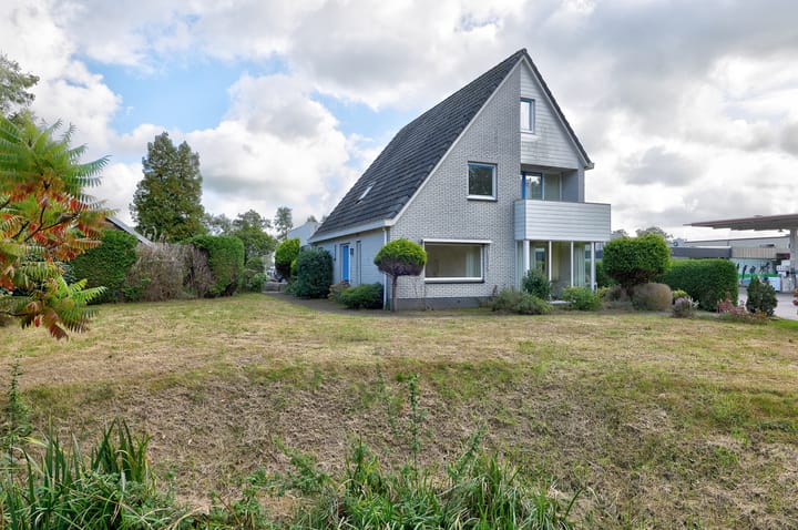 undefined main image