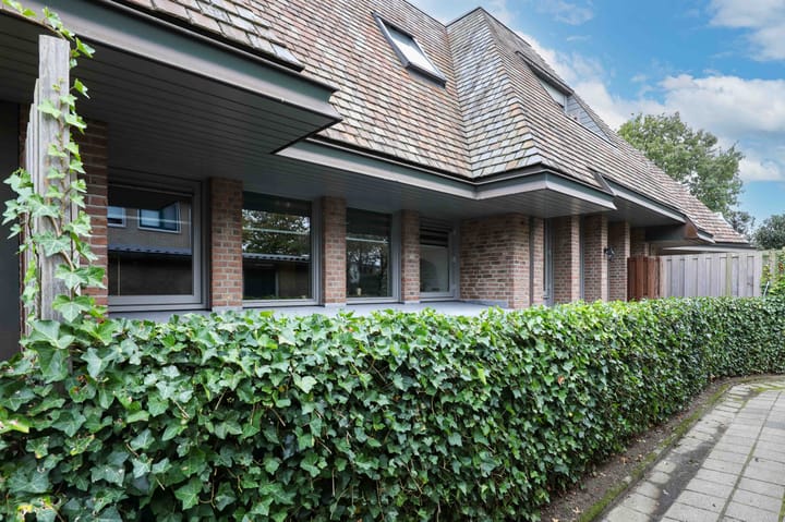 Foto 27 van Beckeringhstraat 36-05