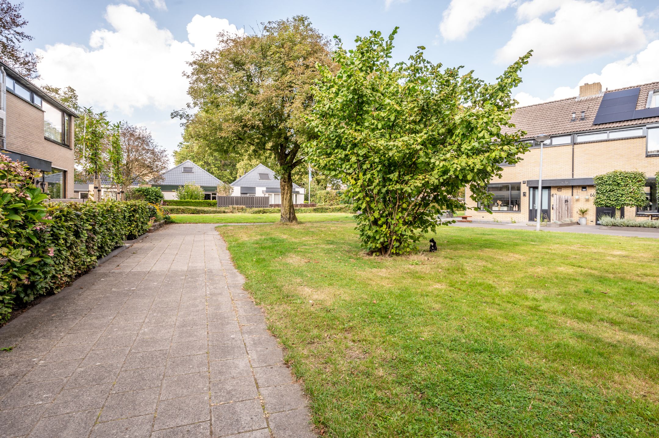 Foto 33 van Frans Halsstraat 74