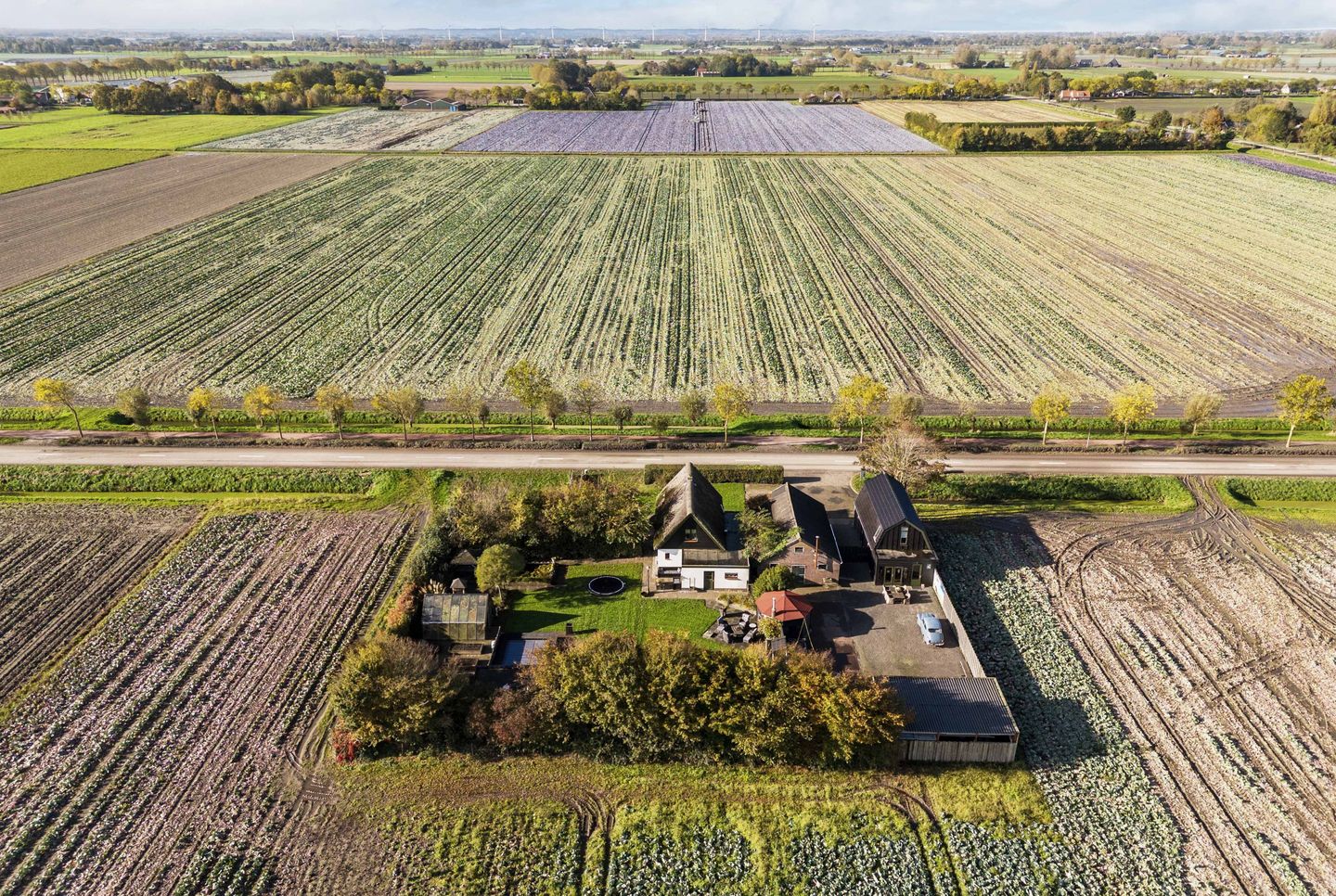 Foto 80 van Smeetsweg 10