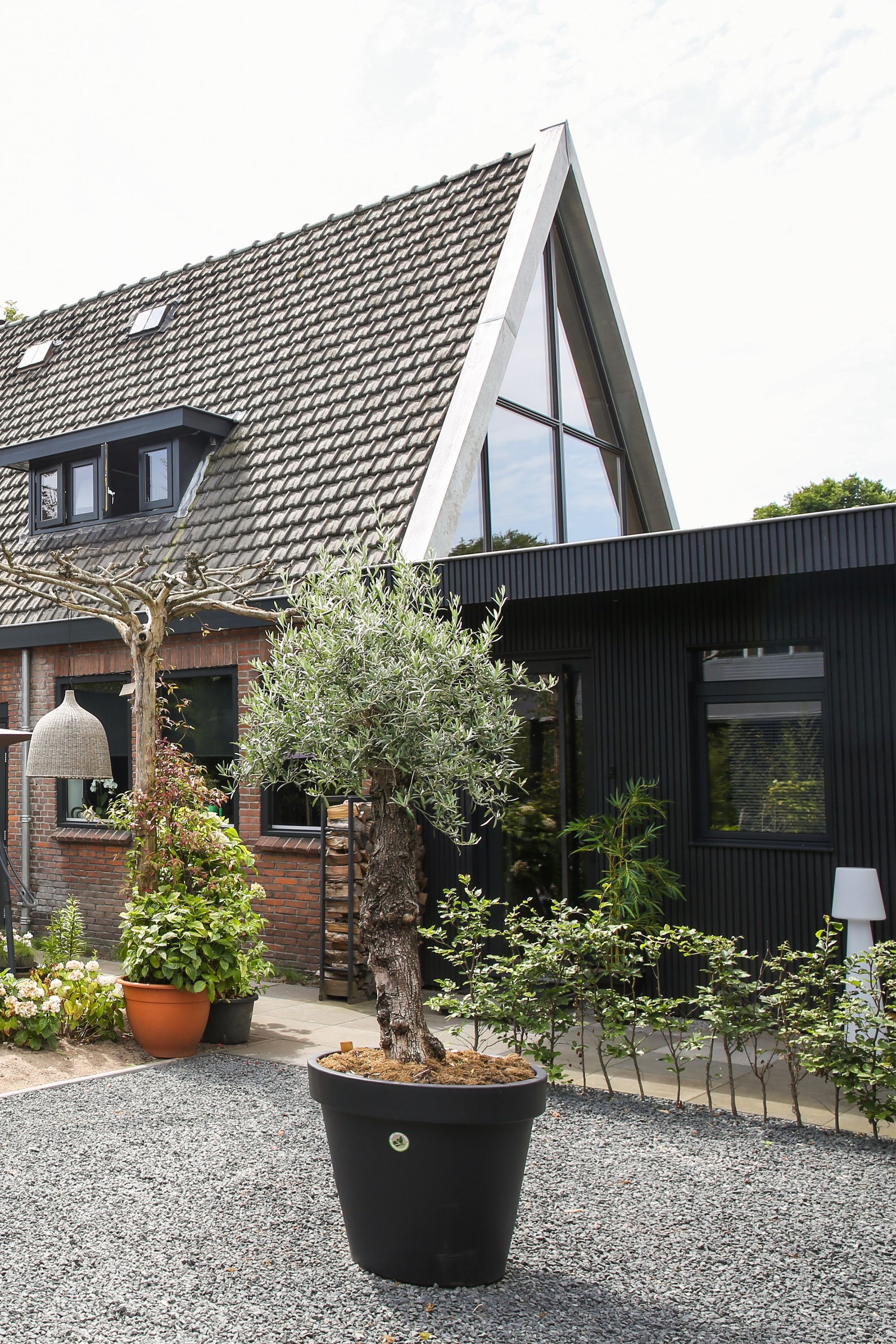 Foto 6 van Ceintuurbaan 2-B