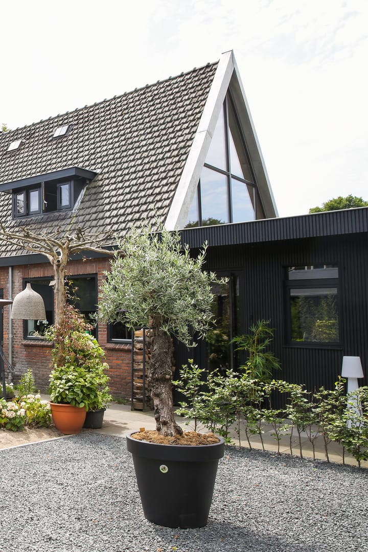 Foto 6 van Ceintuurbaan 2-B