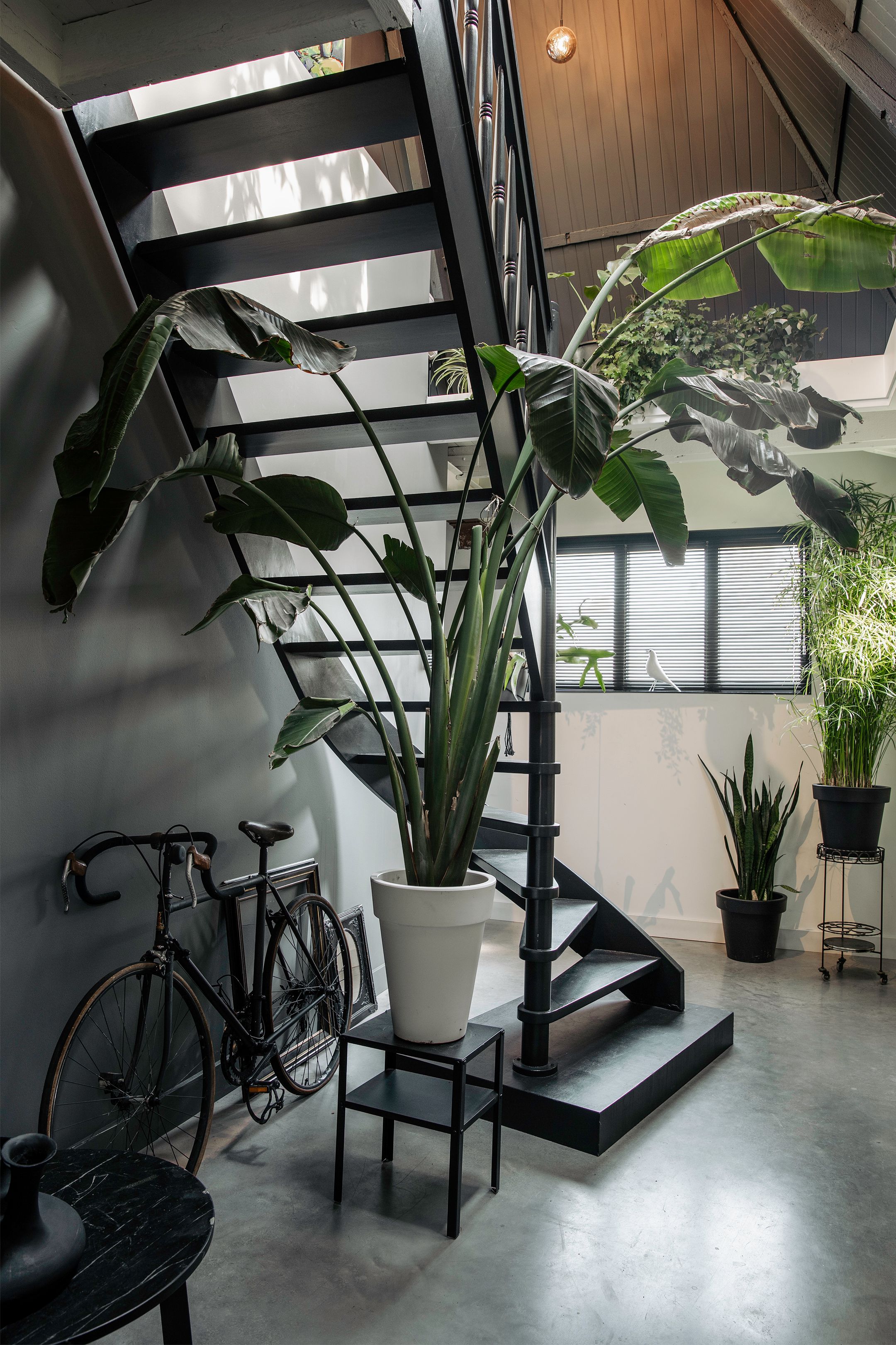 Foto 21 van Ceintuurbaan 2-B