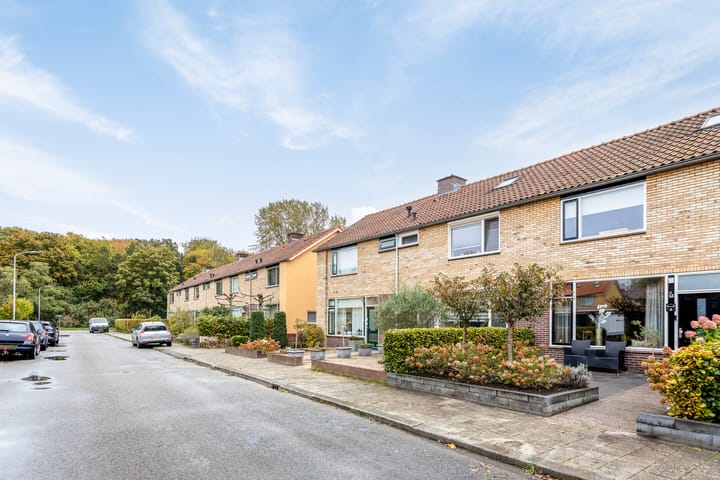 Foto 3 van Queridostraat 12