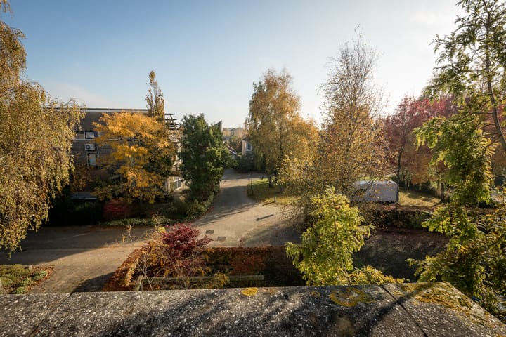 Photo 43 of Nijenburg 30