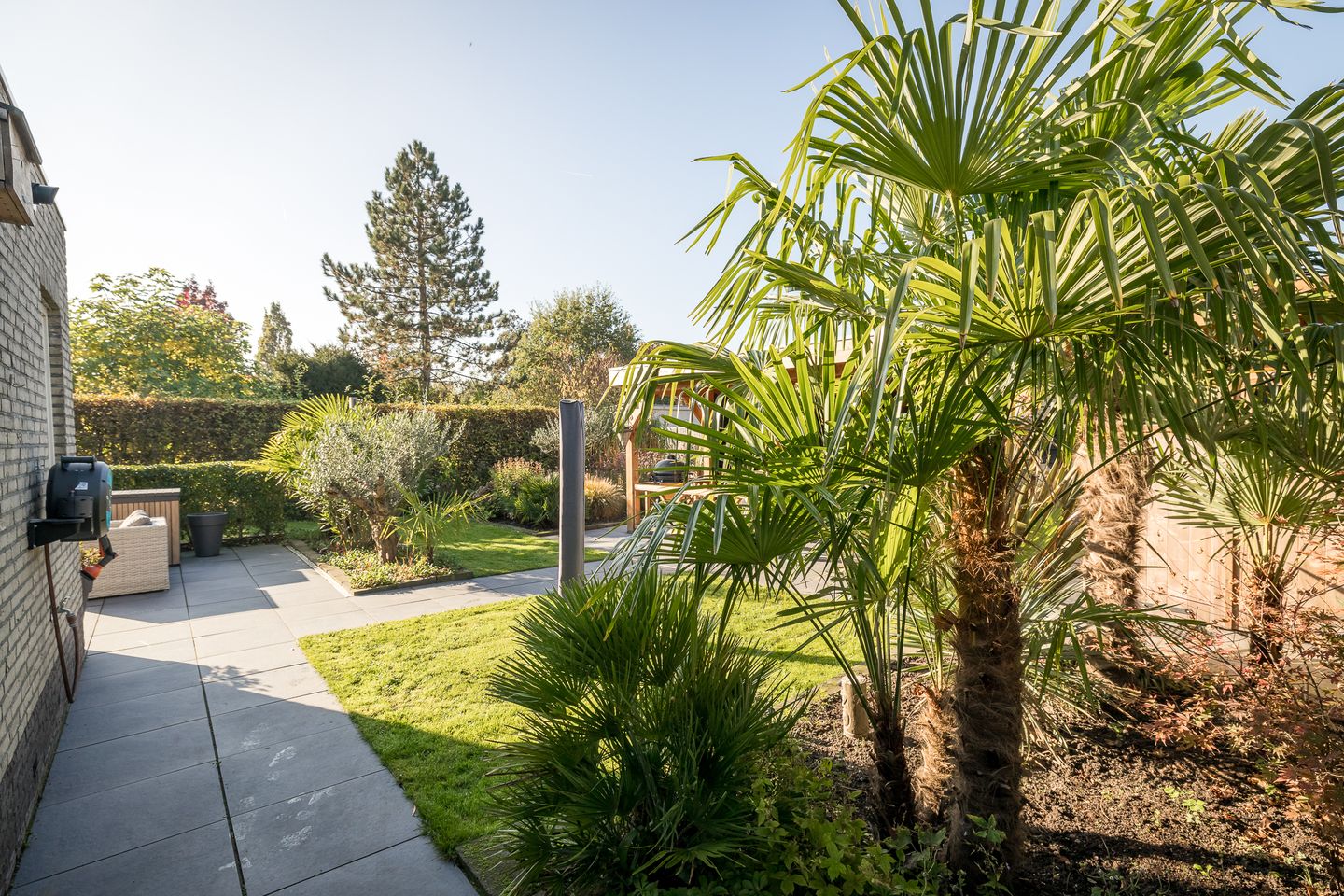 Foto 55 van Nijenburg 30