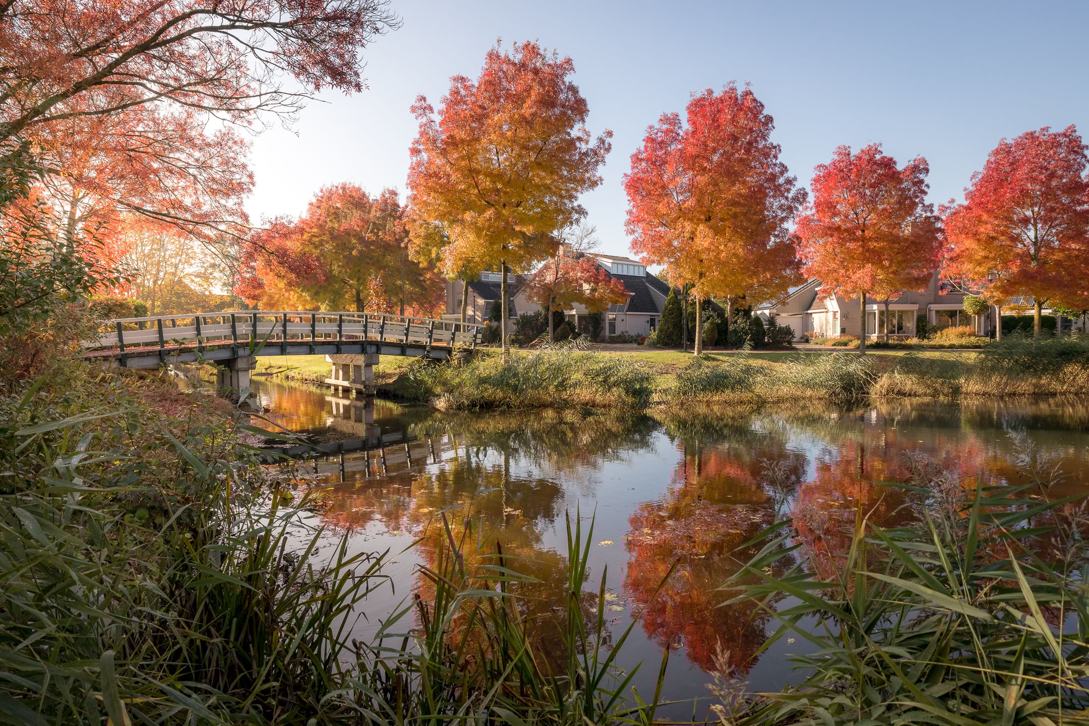 Foto 60 van Nijenburg 30