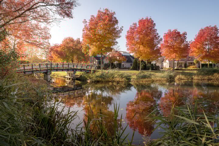 Photo 60 of Nijenburg 30