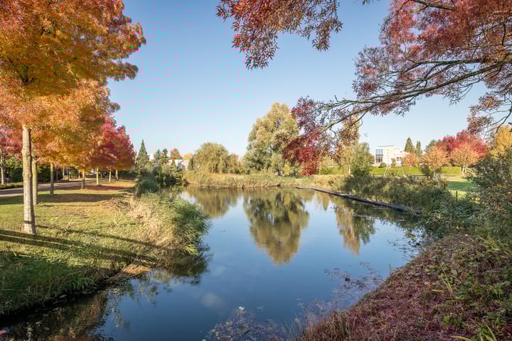 Photo 63 of Nijenburg 30