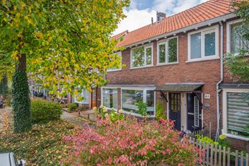 Hazelaarstraat thumbnail