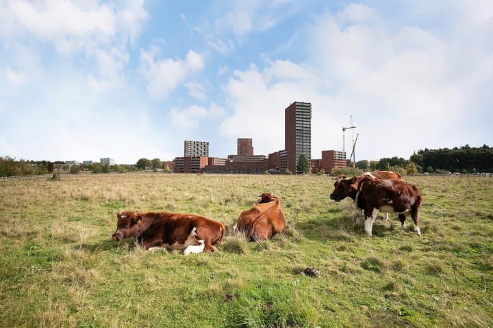 Foto 41 van Waterland 168